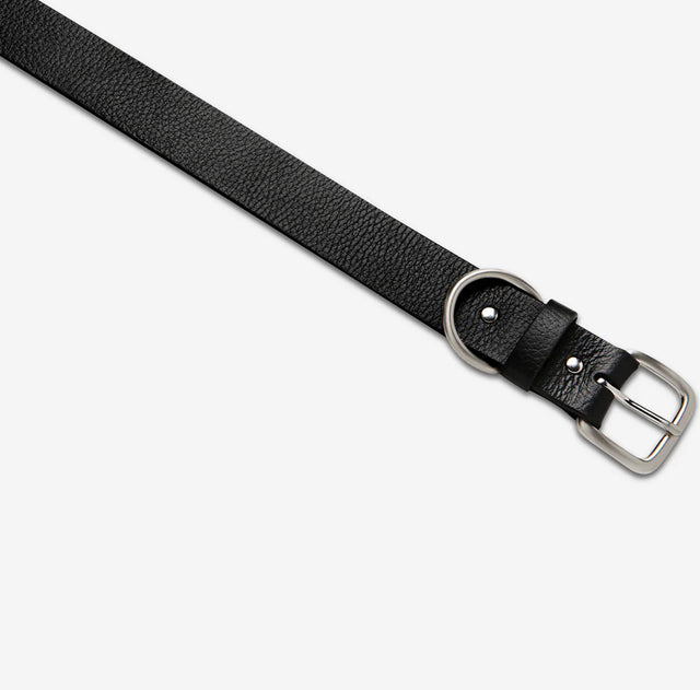 Disarm Belt - Black/Silver-Belts-Status Anxiety-S/M-UPTOWN LOCAL