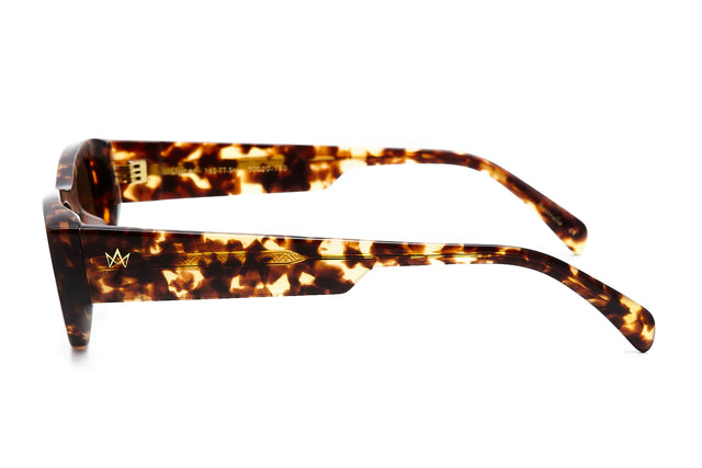Lipcer - Tort-Sunglasses-AM Eyewear-UPTOWN LOCAL