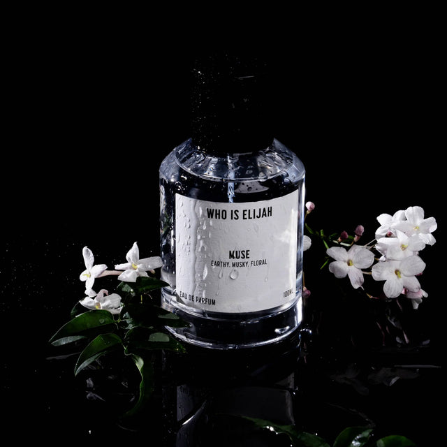 WHO IS ELIJAH - MUSE - 100ml-Perfume & Cologne-Who Is Elijah-UPTOWN LOCAL