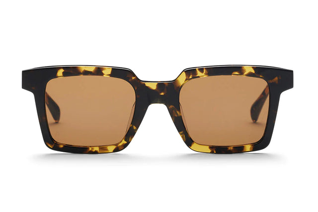 Tommy - Gents Tort-Sunglasses-AM Eyewear-UPTOWN LOCAL