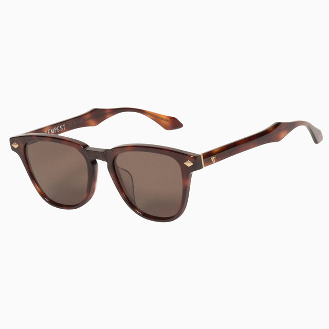 Tempest - Timeless Tort w/ Matte Gold Metal Trim / POLARISED Brown Lens-Sunglasses-Valley-UPTOWN LOCAL