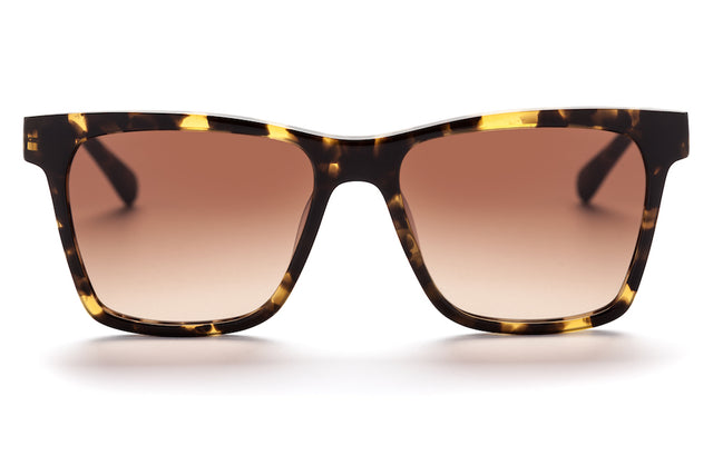 Bondi Tony-Sunglasses-AM Eyewear-UPTOWN LOCAL