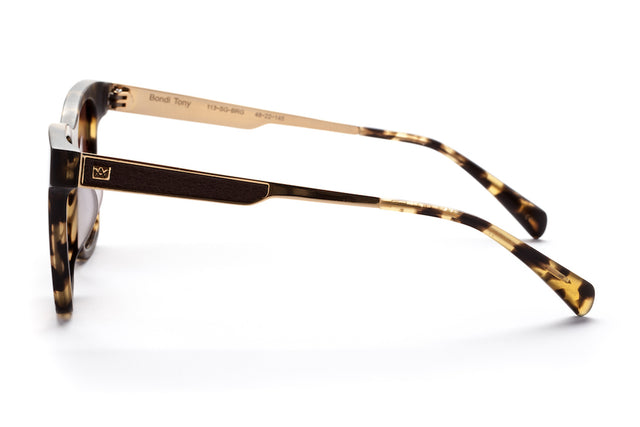 Bondi Tony-Sunglasses-AM Eyewear-UPTOWN LOCAL