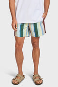 ACADEMY BRAND - Roy Boardy - Multi-Swimwear-Academy Brand-30-UPTOWN LOCAL