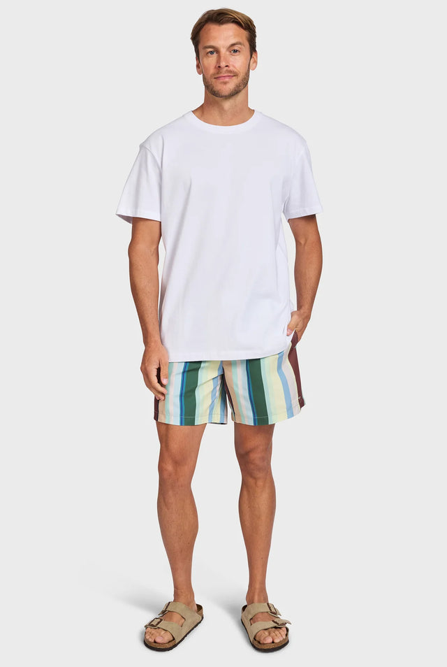 ACADEMY BRAND - Roy Boardy - Multi-Swimwear-Academy Brand-30-UPTOWN LOCAL