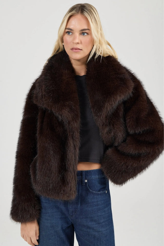 ROLLAS - Mila Jacket - Espresso-Jackets-Rolla's-6/XS-UPTOWN LOCAL