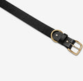 Disarm Belt - Black/Gold-Belts-Status Anxiety-S/M-UPTOWN LOCAL