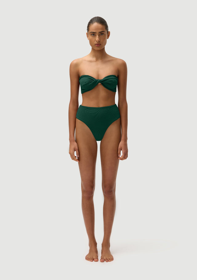 Fella Swim Brian High Waisted Bikini Bottom in Botanical – official model view 1