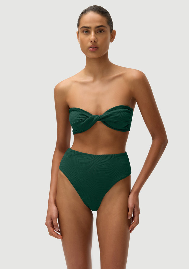Fella Swim Brian High Waisted Bikini Bottom in Botanical – official model view 3